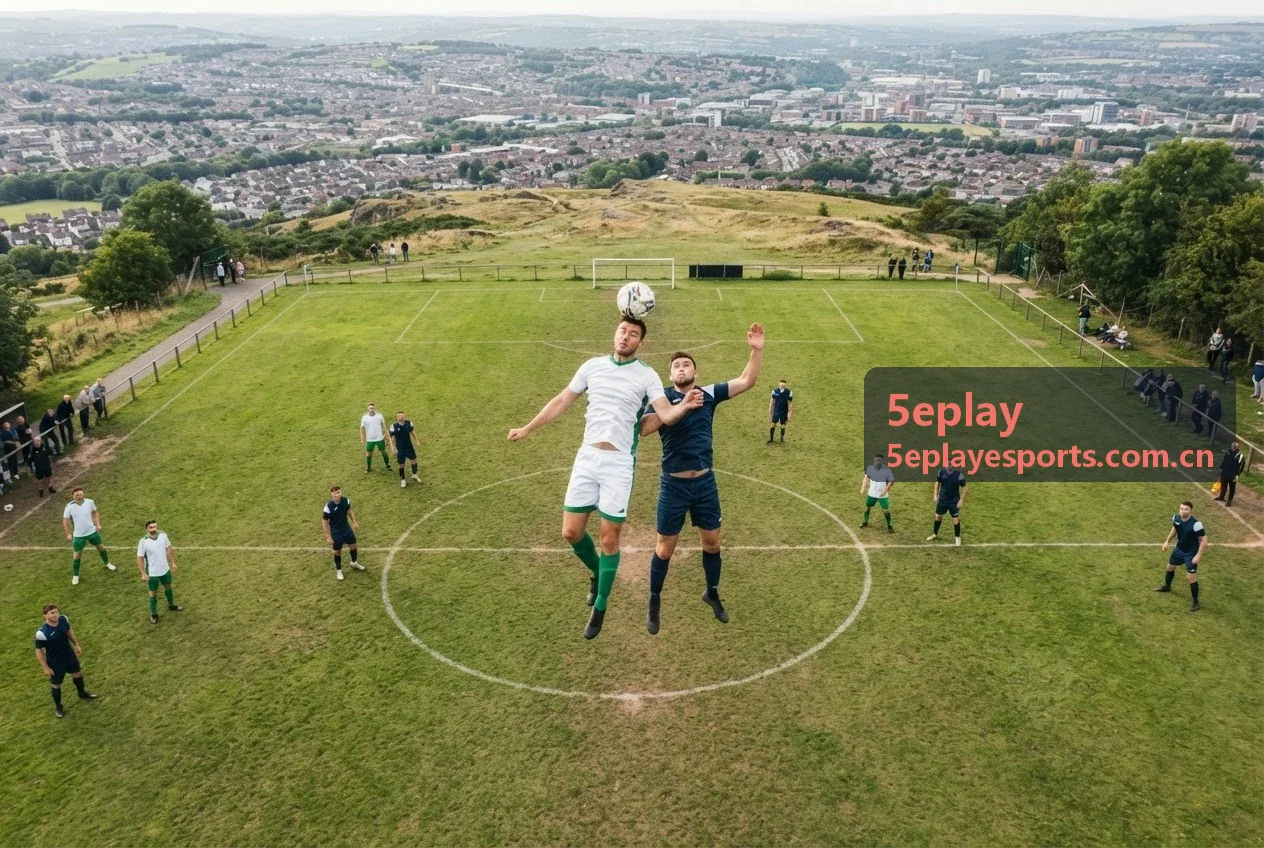5eplay 玩家工具库概览界面